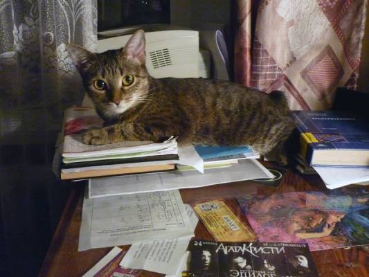 ����� �� ����