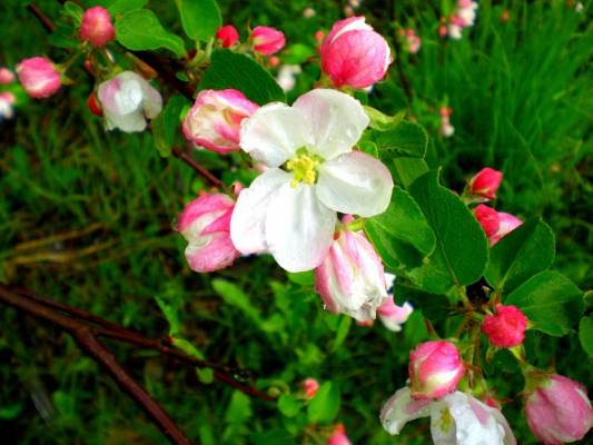 ��������� ����