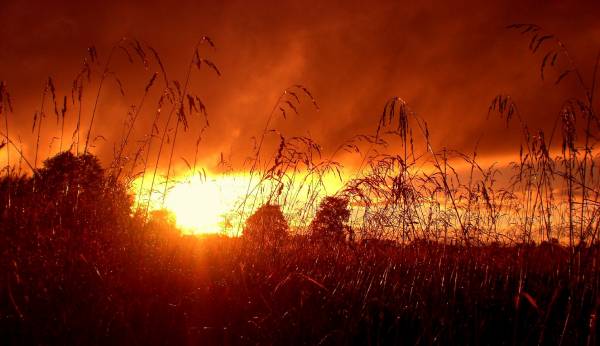 �����