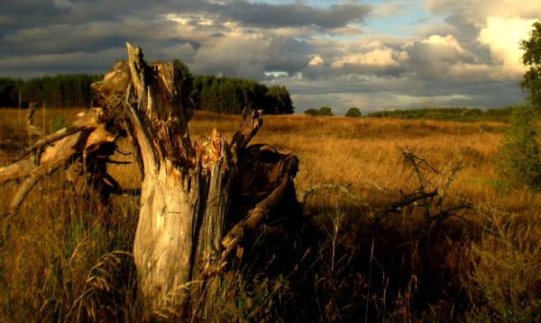 ������� ����...