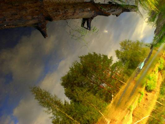 ���������