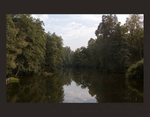 ������ �����...