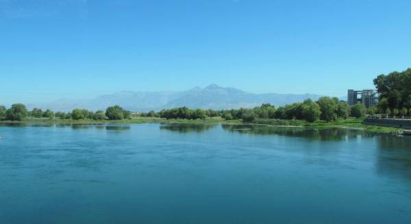 �.�����, �������,08/2010.