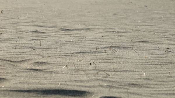 ����� ���������