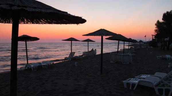 �.��� �����, ����������,08/2010.