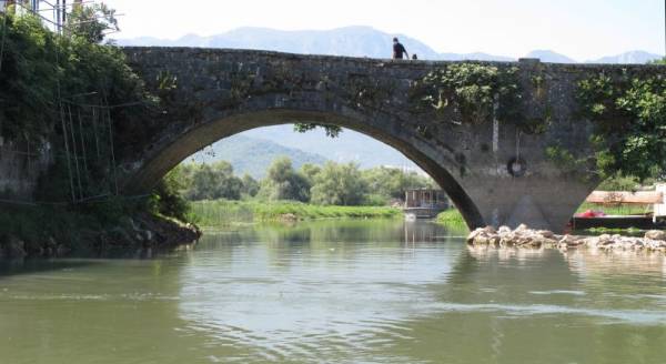 ���������� �����, ����������,08/2010.