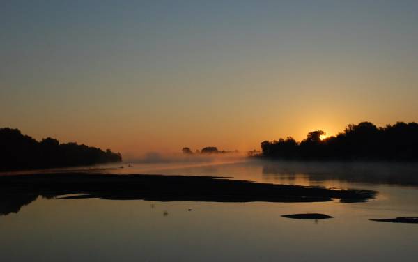 ������ ������