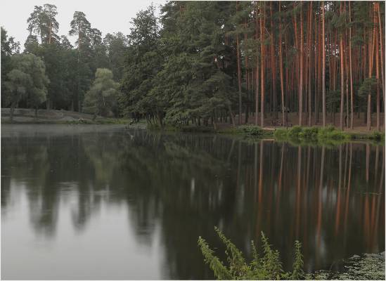 ������� �����