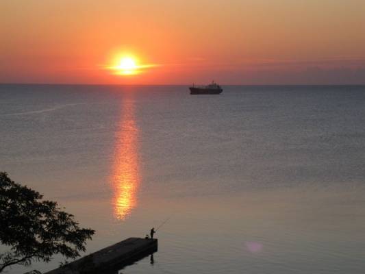 ������� � �������� �������� 2010