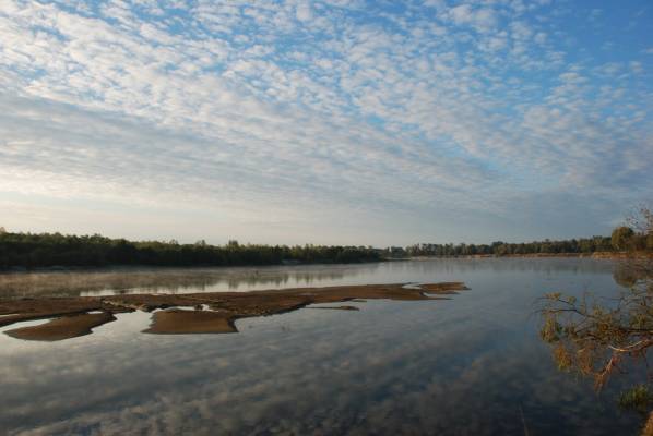 ����� ����