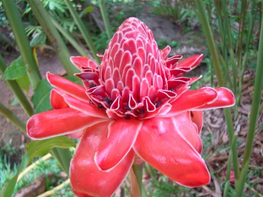 ��������� �������