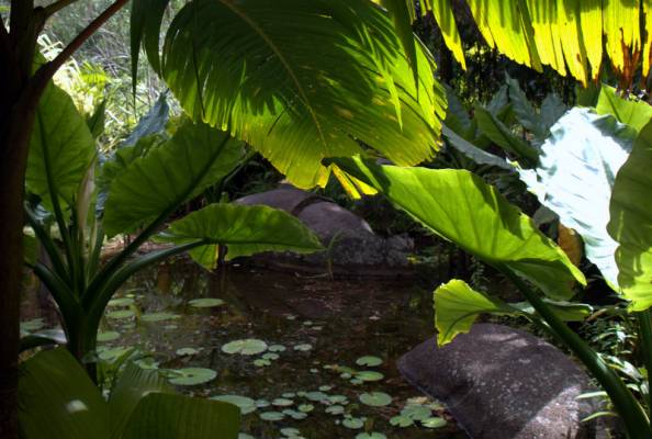 ������������ ���  ��������