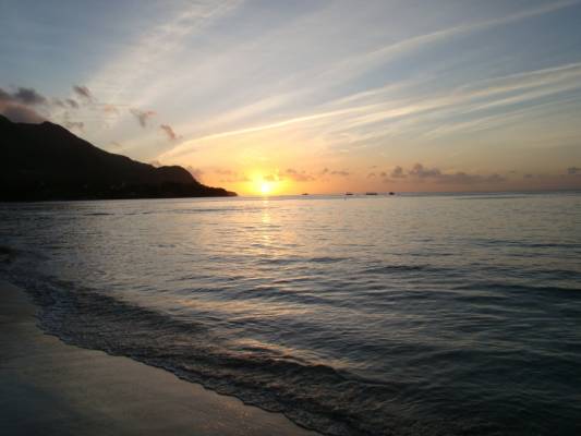 ����� �� ����� �� �����, ���