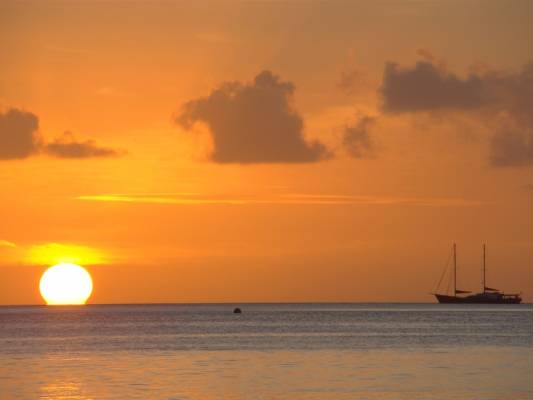 ����� �� ����� �� �����