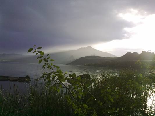 ���� �������