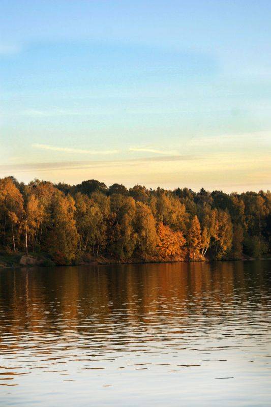 ����� ��. ������