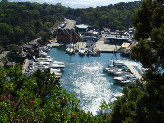 ������� �����*