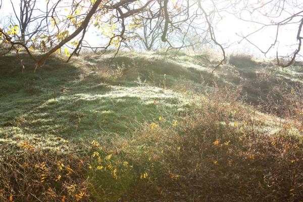 ����� � ������...