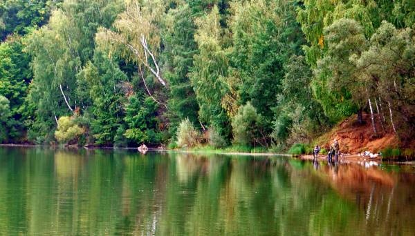 �������