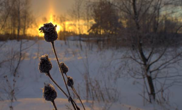 �������� ������� � -30