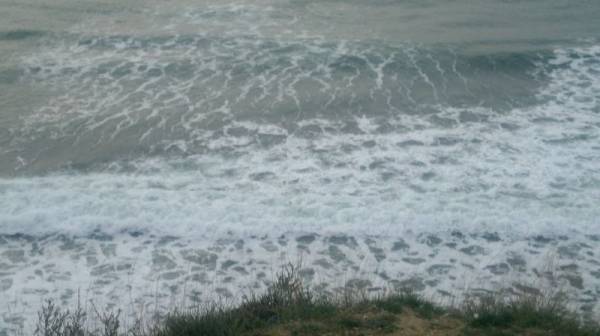 �� ������