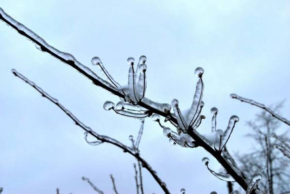 ���������� ��������