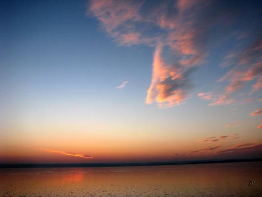 ������ ���� ���� ���� �� ��������...