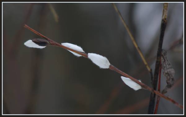 ����������  ������