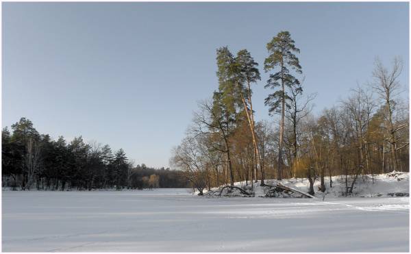 ������� ��������