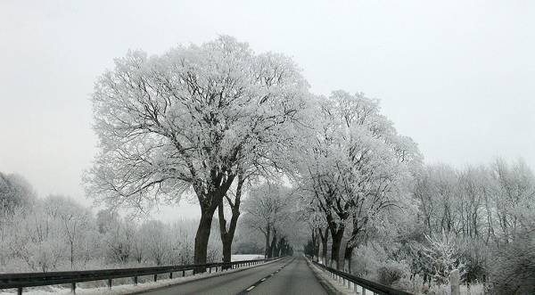 ������ � ������