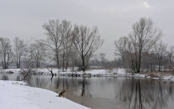 ������ � ����...