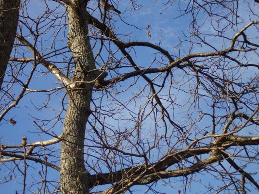  ��������� � ��� ����� 