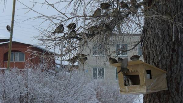 �������� ����, �� ��� ��� �� ��������