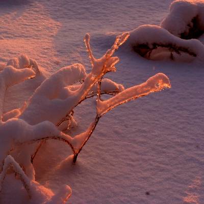 ����,��� � ������...