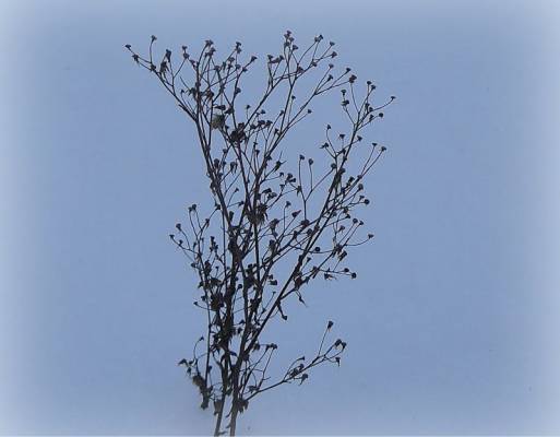 � �������� �����