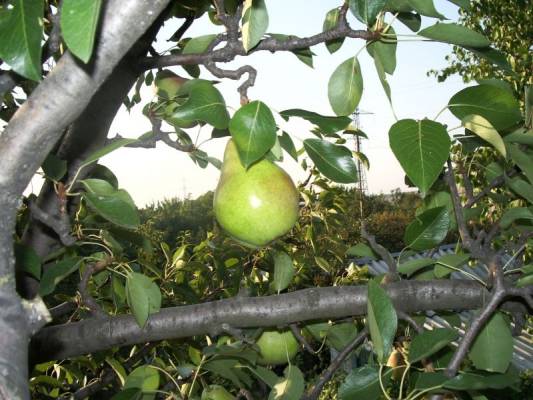 ����� �����...