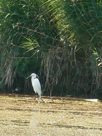 ����� �����