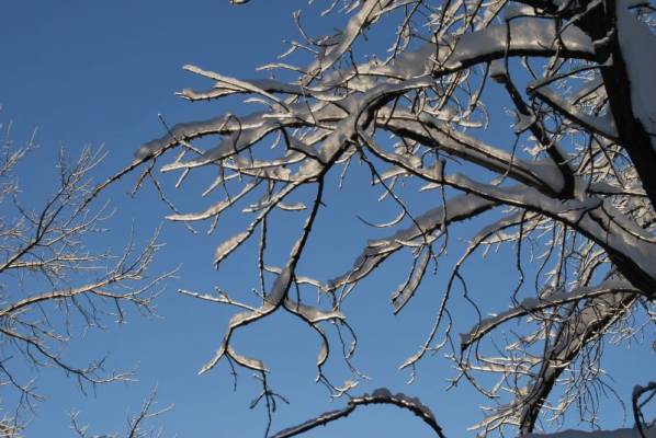 ������������� �������