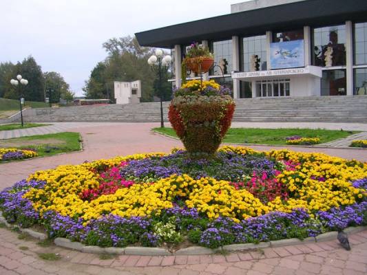 ��������,���������