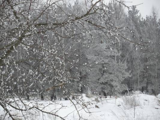 � �������� �����