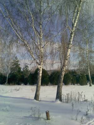 ������ �����.