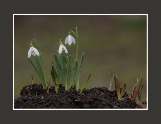 �������� �����