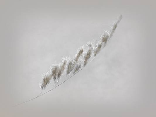 ������ � ��������