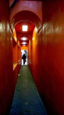 ����� ���