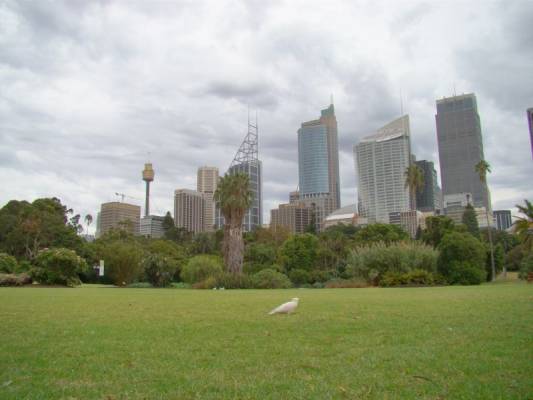 ������������ ��� ������