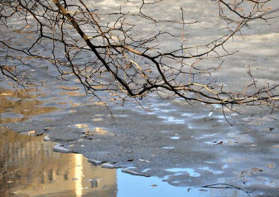 �������� ��������