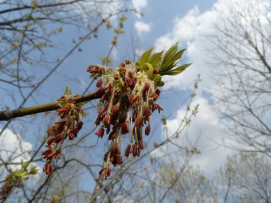 ������ �����