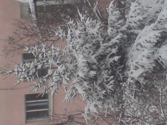 � ���� �������� ������