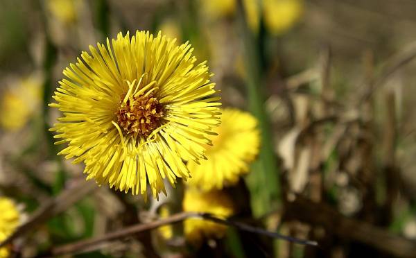 ��������� �������� ��������..