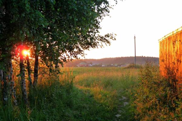 �������� �����